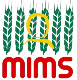LOGO_MIMS_page-0001-removebg-preview-3